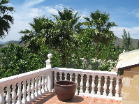 View from terrace
